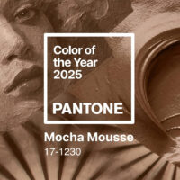 Pantone Color of the Year 2025 Mocha Mousse
